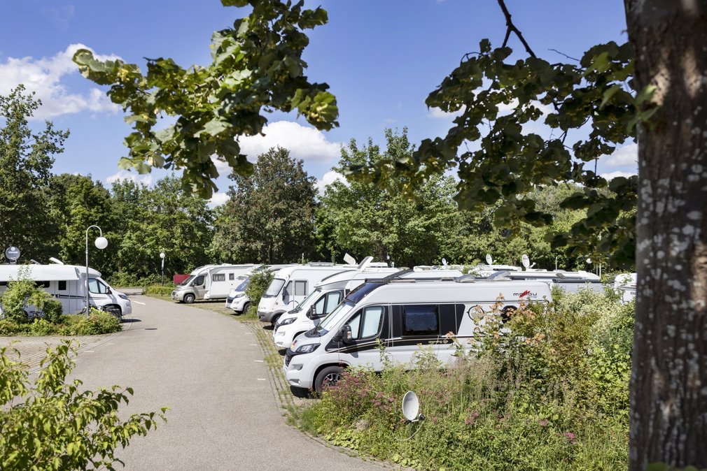 Blick auf einen Wohnmobilstellplatz.