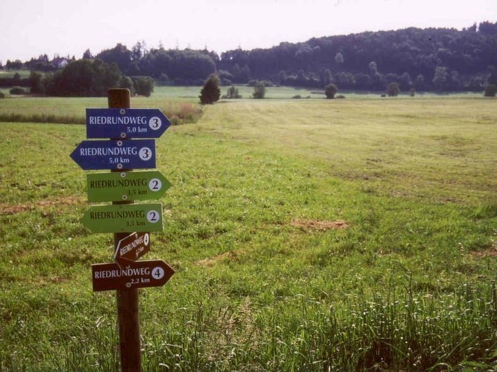 Wegweiser-Schilder vor einer Wiese.