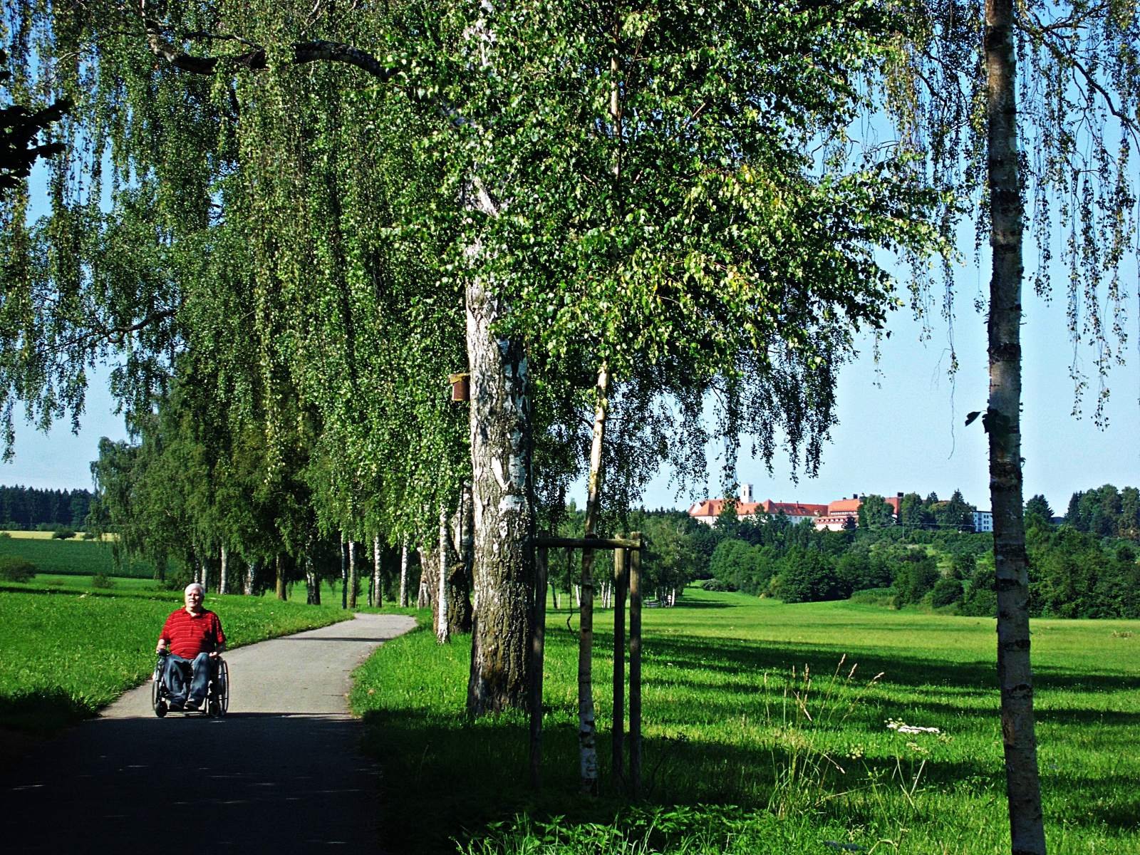 Rollstuhlfahrer in einm Park