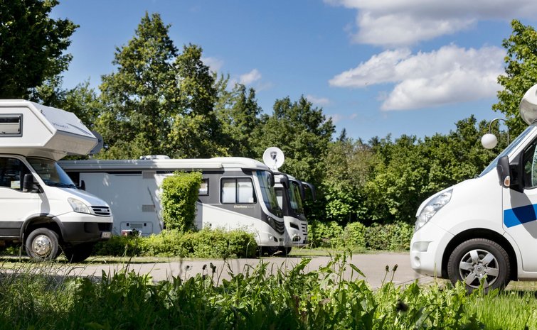 Blick auf einen Wohnmobilstellplatz.