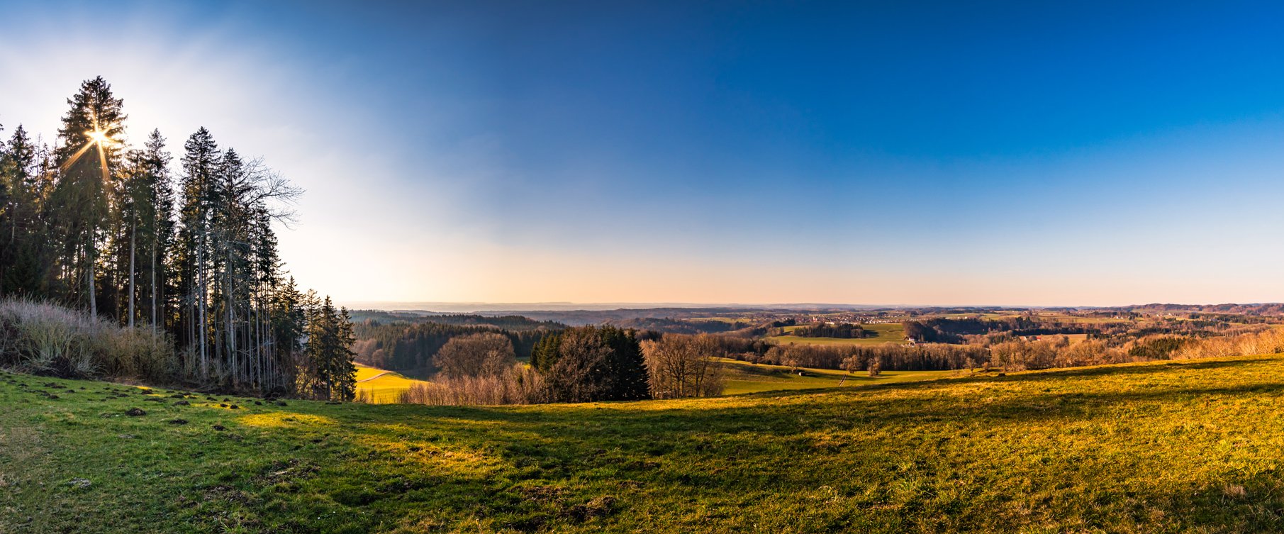 Blick von einer Lichtung auf das Gebiet des Altdorfer Waldes