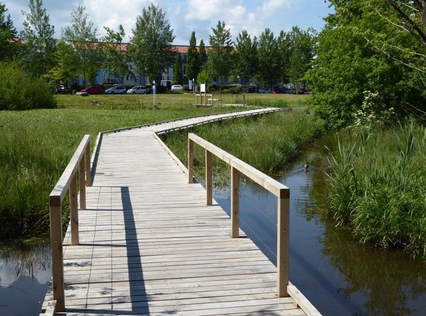 Ein Holzsteg führt über einen See.