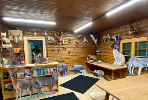 Eine Hütte, die mit vielen ausgestopften Tieren dekoriert ist.